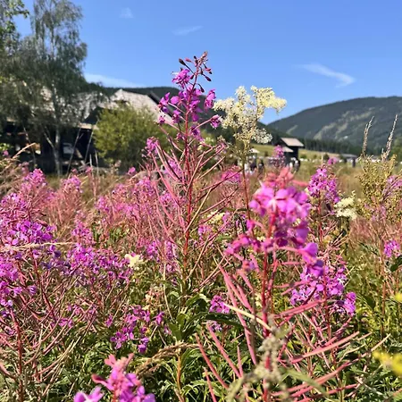 Apartment Zauberhafte In Idyllischer Lage Mitterdorf an der Raab