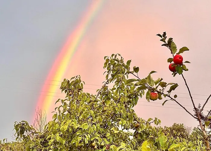 Apartment Zauberhafte In Idyllischer Lage Mitterdorf an der Raab