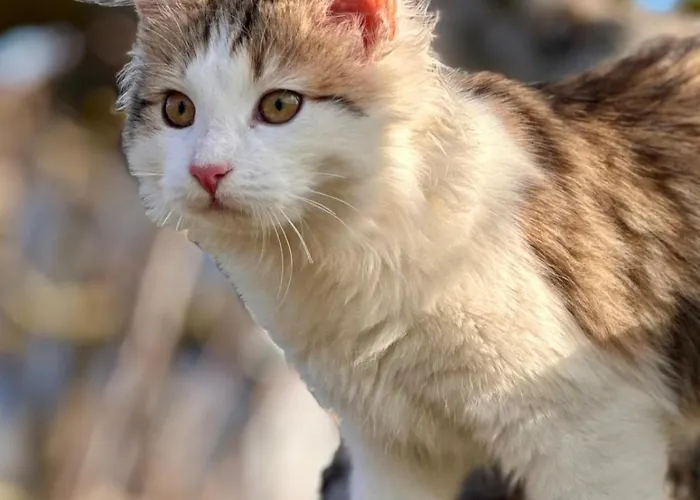 شقة Zauberhafte In Idyllischer Lage *