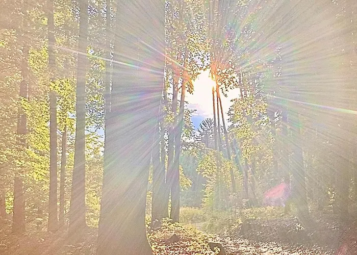 Apartment Zauberhafte In Idyllischer Lage Mitterdorf an der Raab