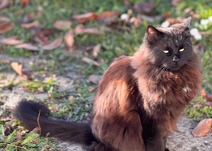 شقة Zauberhafte In Idyllischer Lage *