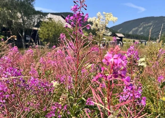 شقة Zauberhafte In Idyllischer Lage Mitterdorf an der Raab