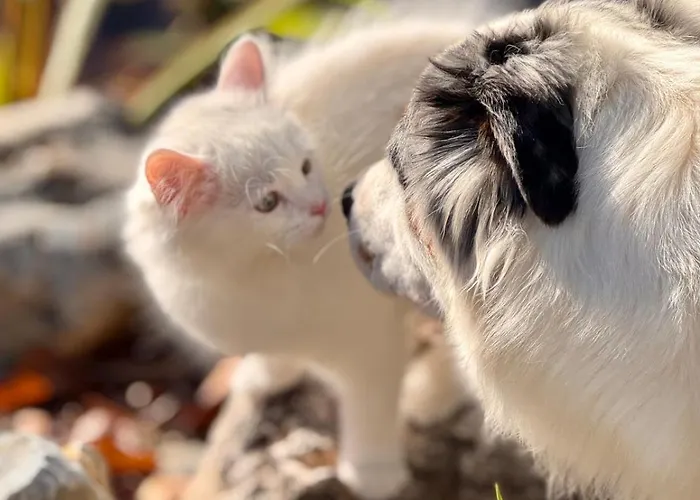 Zauberhafte In Idyllischer Lage *