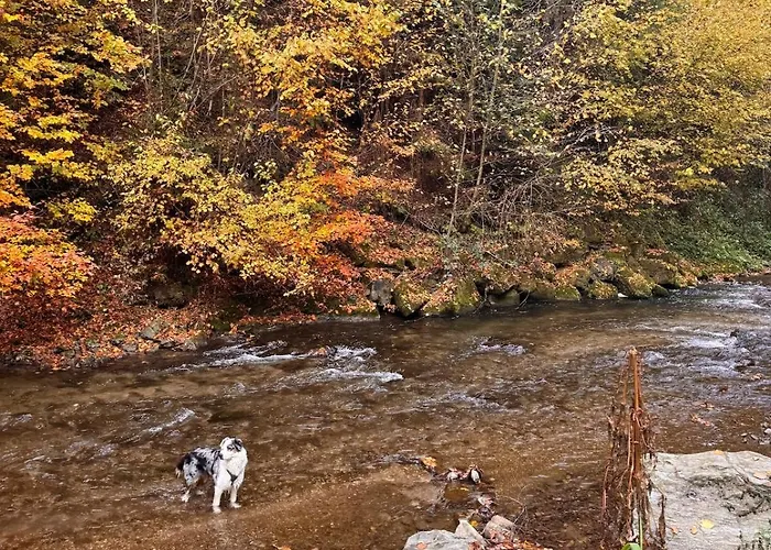 Zauberhafte In Idyllischer Lage شقة