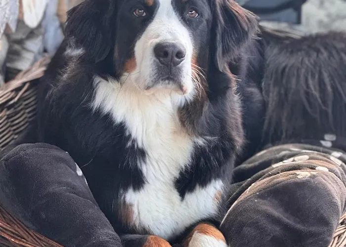 Zauberhafte In Idyllischer Lage *