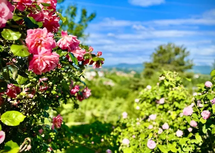 Zauberhafte In Idyllischer Lage Mitterdorf an der Raab