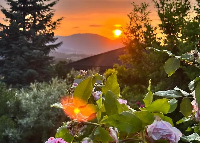 Zauberhafte In Idyllischer Lage شقة Mitterdorf an der Raab