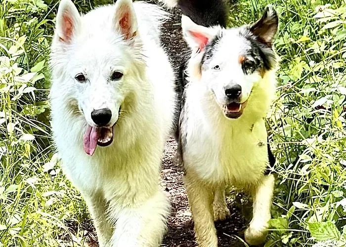 Zauberhafte In Idyllischer Lage *