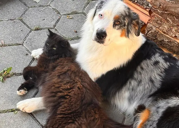 Zauberhafte In Idyllischer Lage Apartment *