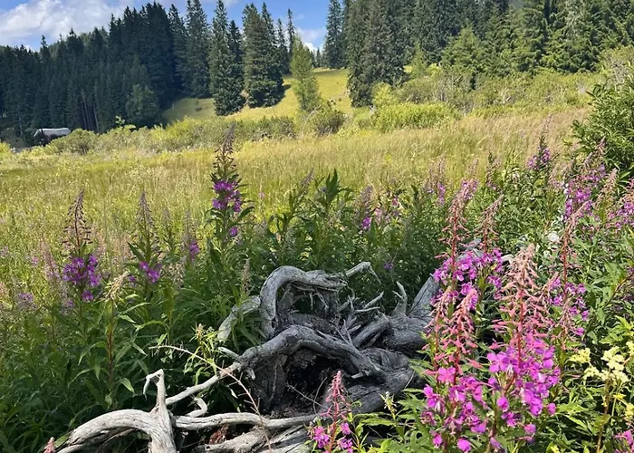 Zauberhafte In Idyllischer Lage شقة